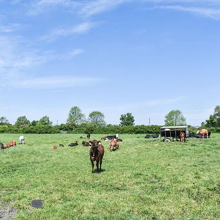 Green Acre Farm Ely Kültér fotó